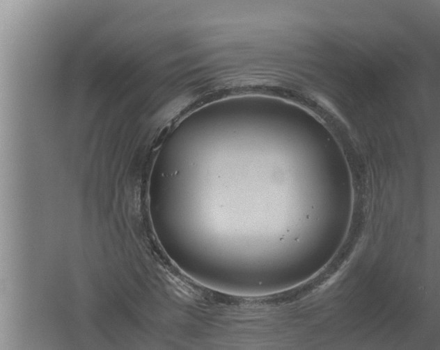 X0000061120777200511241709