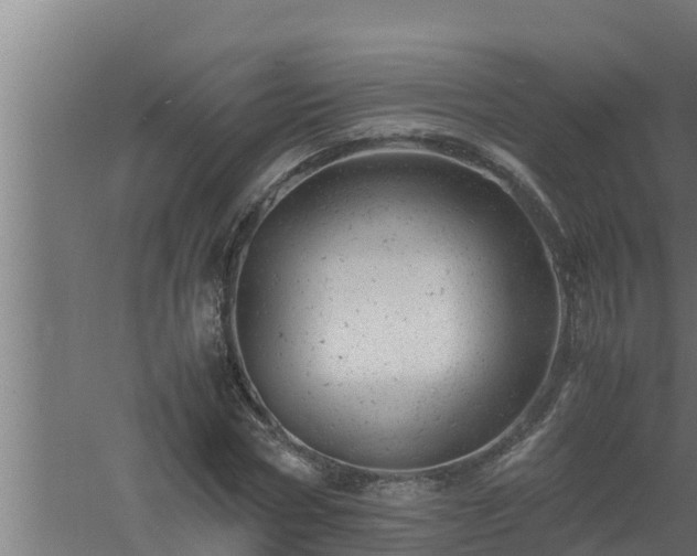 X0000061120778200511241709