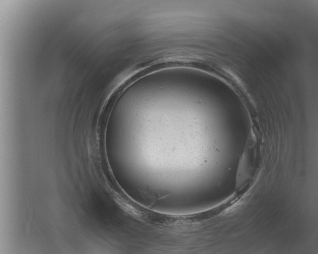 X0000061120779200511241709