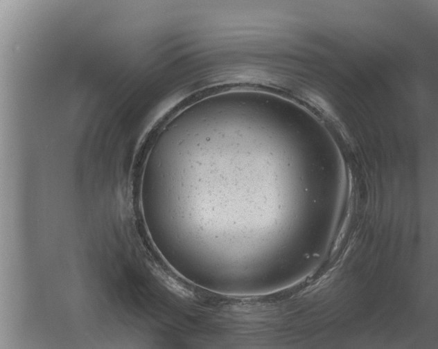 X0000061120780200511241709