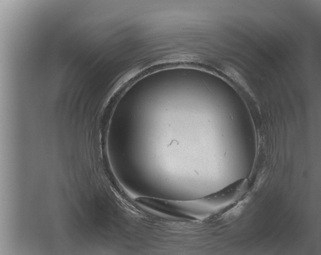 X0000061120781200511241709