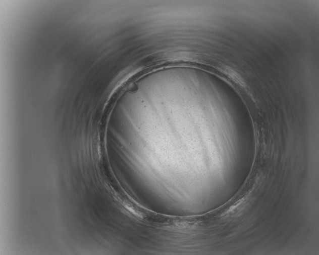 X0000061120782200511241709