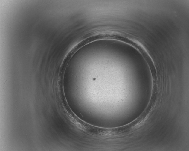 X0000061120783200511241709