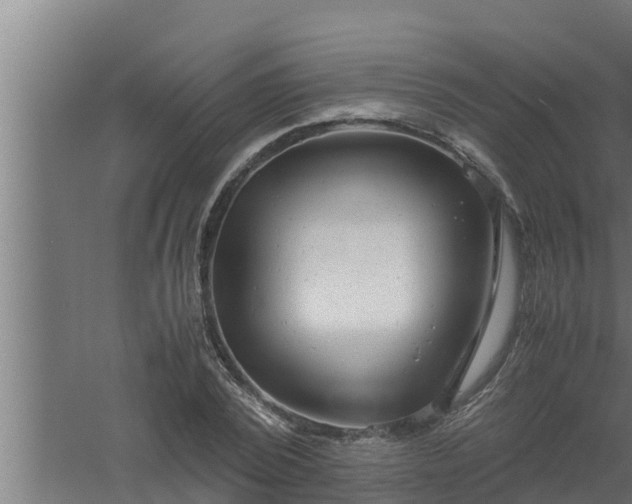 X0000061120784200511241709