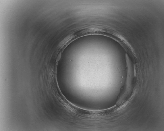 X0000061120785200511241709