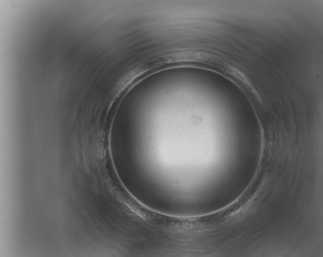 X0000061120786200511241709