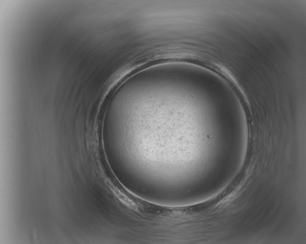 X0000061120787200511241709