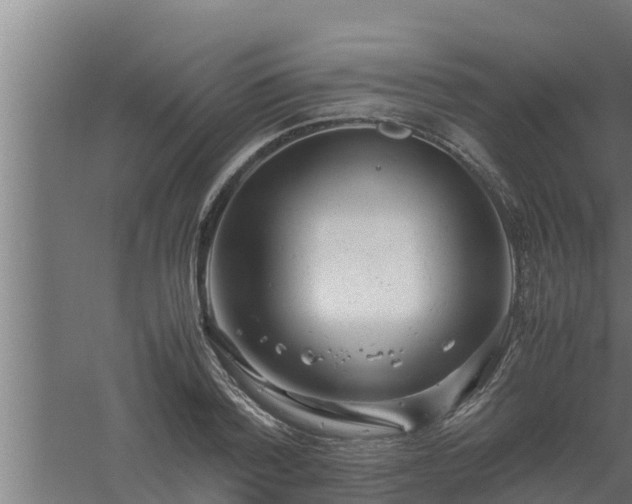 X0000061120788200511241709