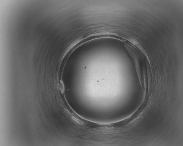 X0000061120789200511241708