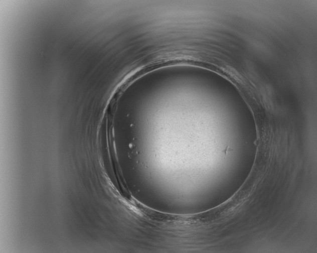 X0000061120790200511241708