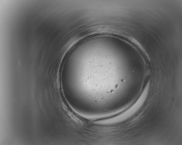 X0000061120791200511241708