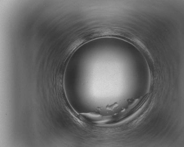 X0000061120793200511241708