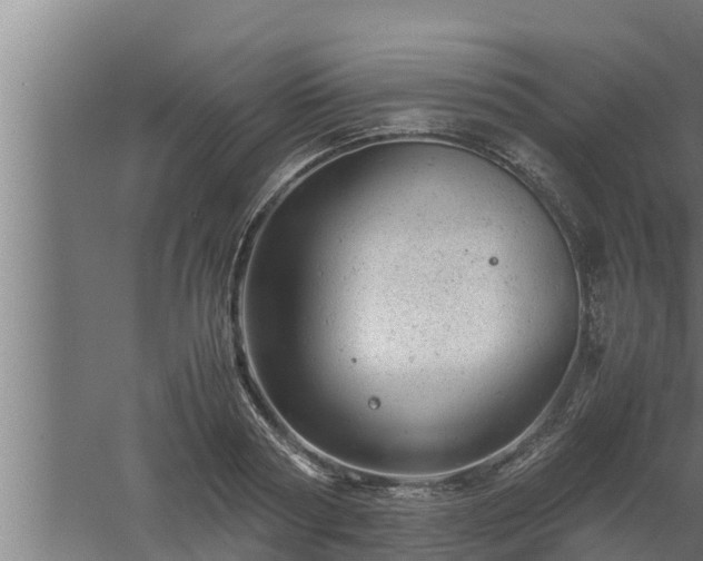 X0000061120794200511241708