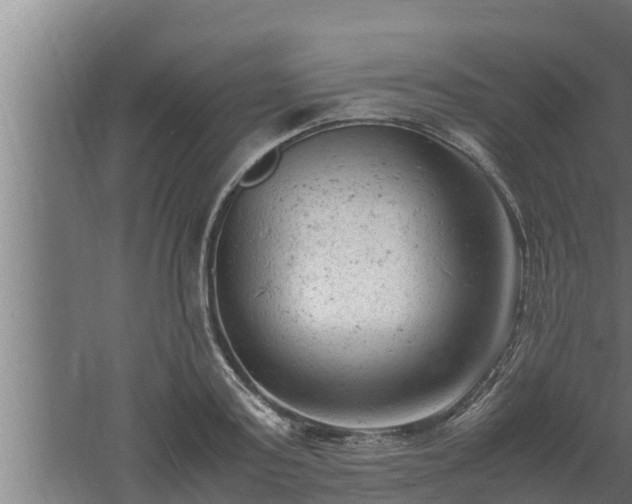 X0000061120795200511241708