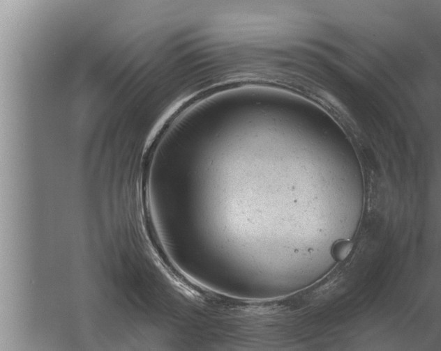 X0000061120796200511241708