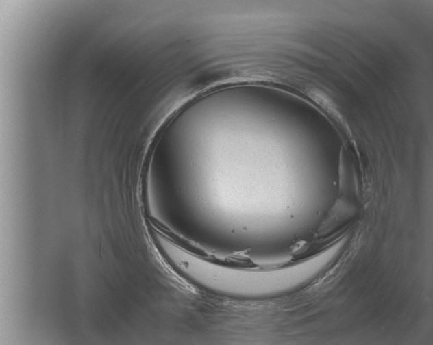 X0000061120797200511241708