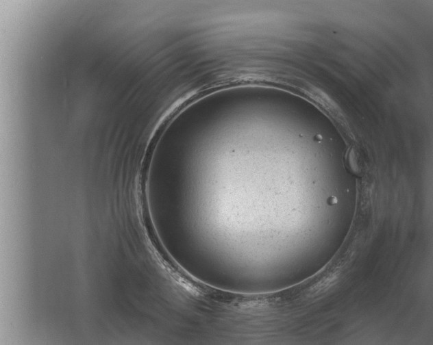 X0000061120798200511241708