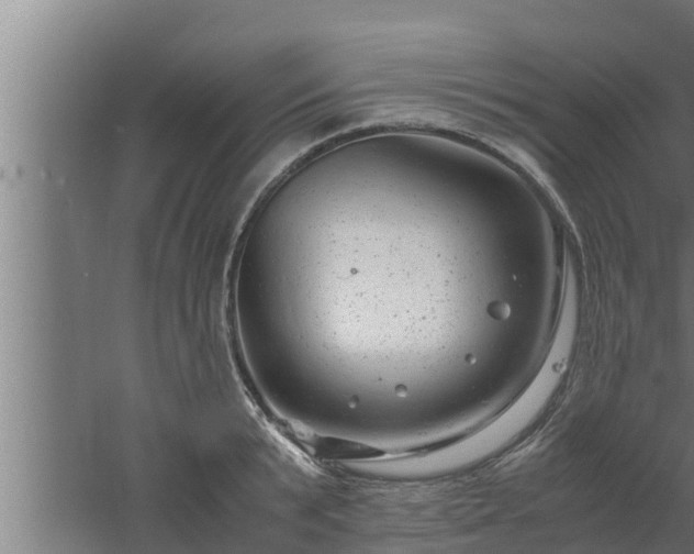 X0000061120799200511241708