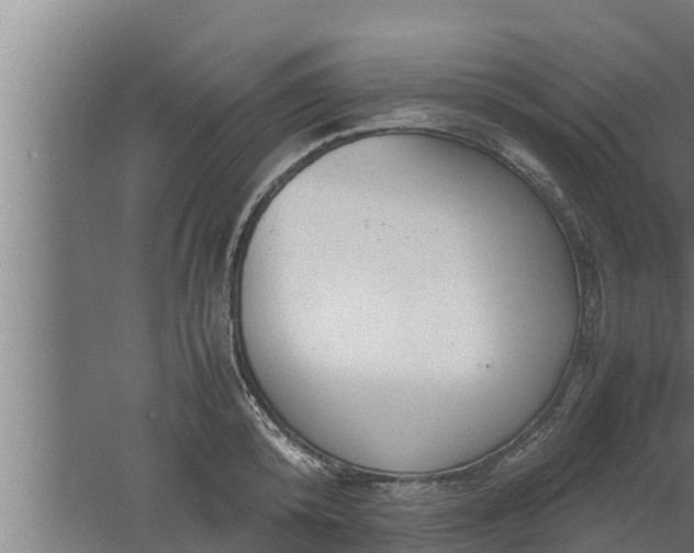 X0000061120800200511241708