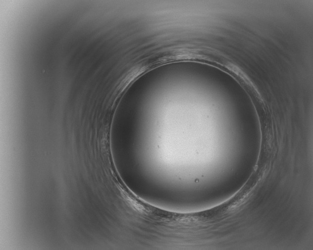 X0000061120801200511241708