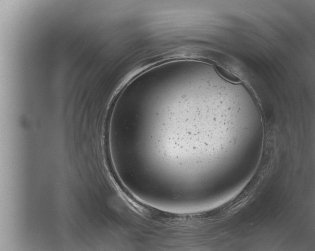 X0000061120803200511241708