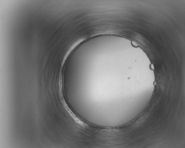 X0000061120804200511241708