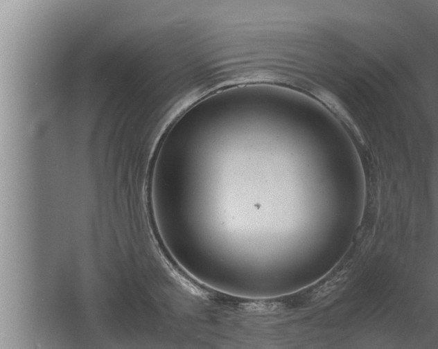 X0000061120805200511241708