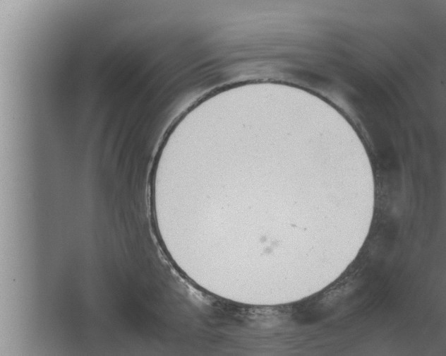 X0000061120807200511241708