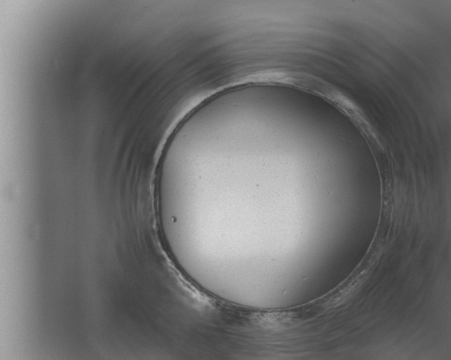 X0000061120808200511241708