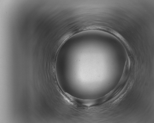 X0000061120809200511241708