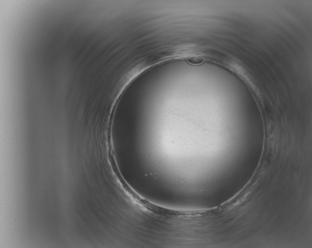 X0000061120810200511241708