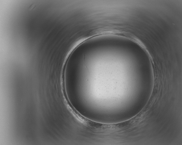 X0000061120811200511241708