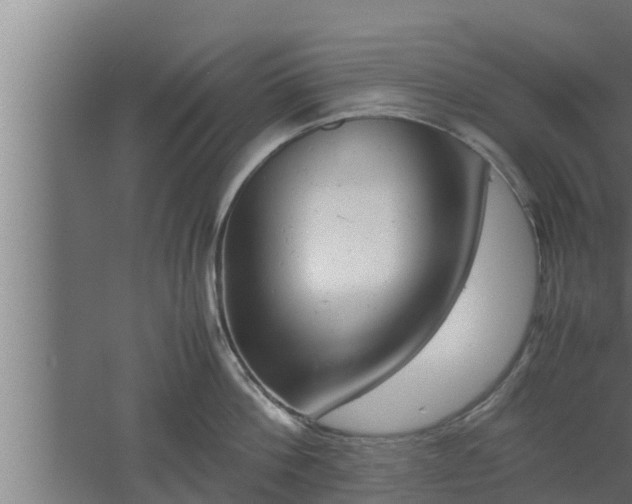 X0000061120812200511241708