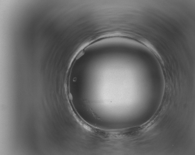 X0000061120813200511241708