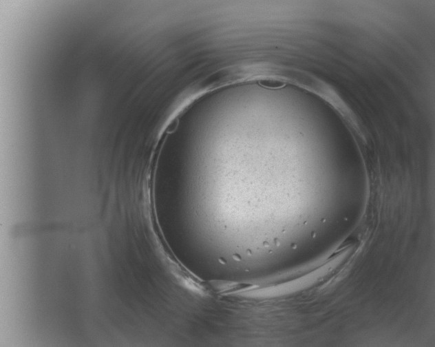 X0000061120814200511241708