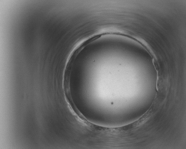 X0000061120815200511241708