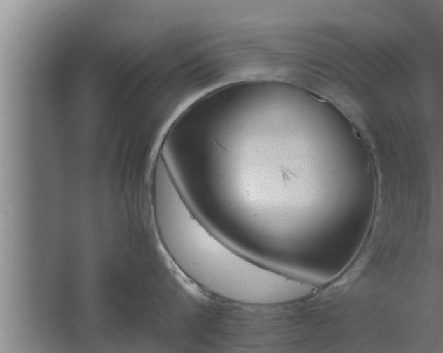 X0000061120816200511241708