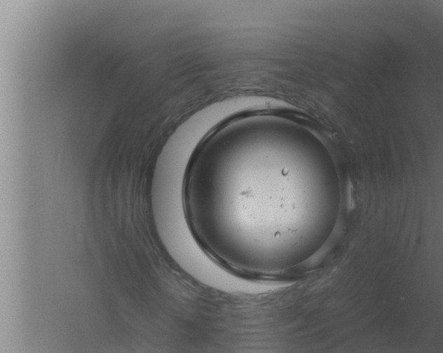 X0000061120818200511241707