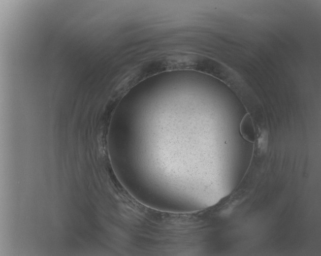 X0000061120819200511241707