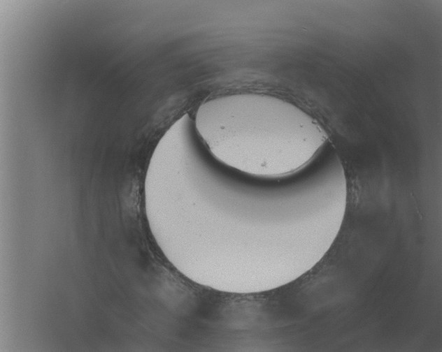 X0000061120820200511241707