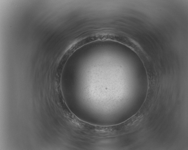 X0000061120823200511241707