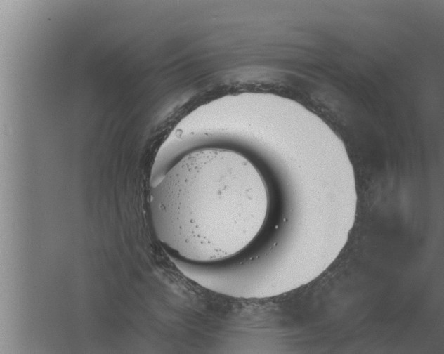 X0000061120824200511241707