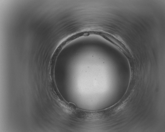 X0000061120830200511241707