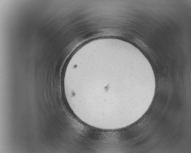 X0000061120836200511241708