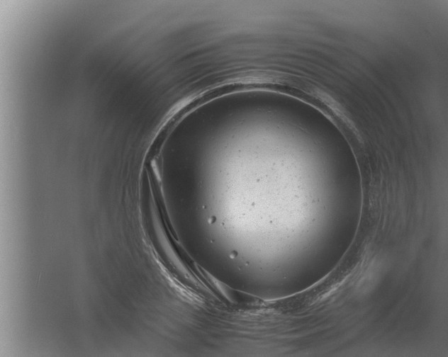 X0000061120837200511241708