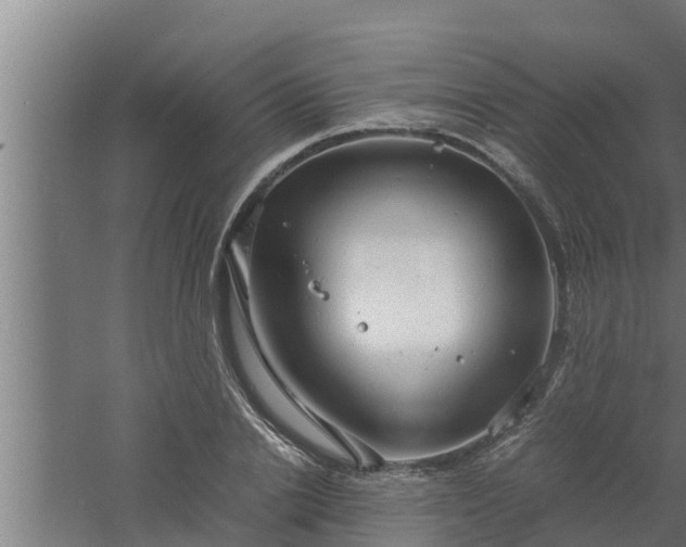 X0000061120838200511241708