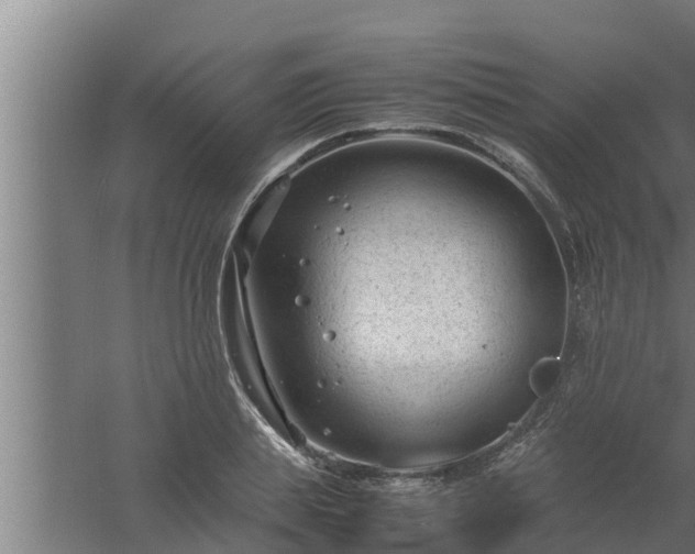 X0000061120839200511241708