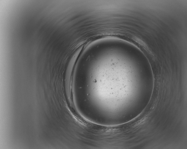 X0000061120841200511241708