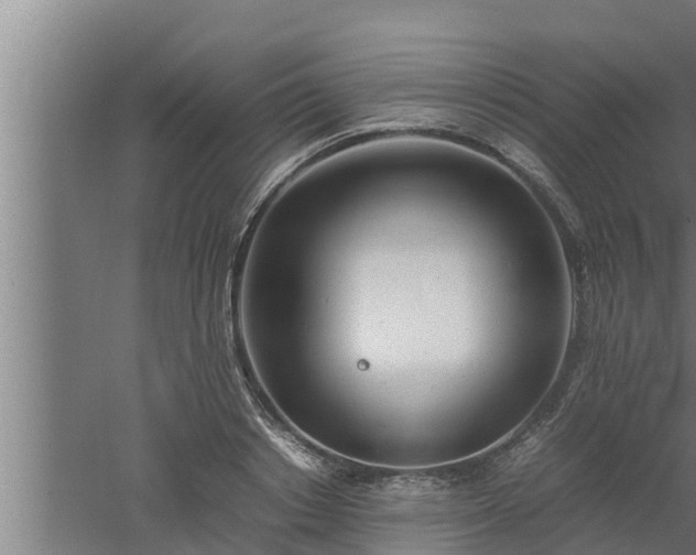 X0000061120842200511241708