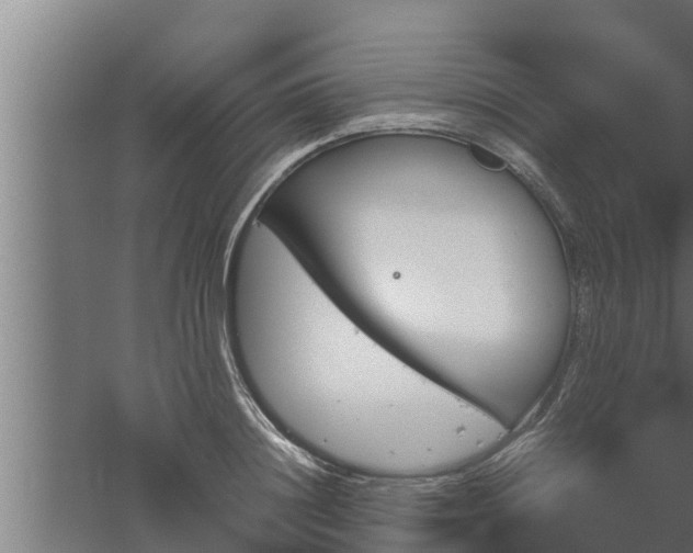 X0000061120844200511241708